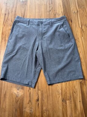Hang Ten Shorts Men’s 32 Grey Stripes